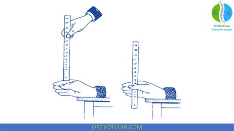 stick drop test procedure|ruler drop test table.